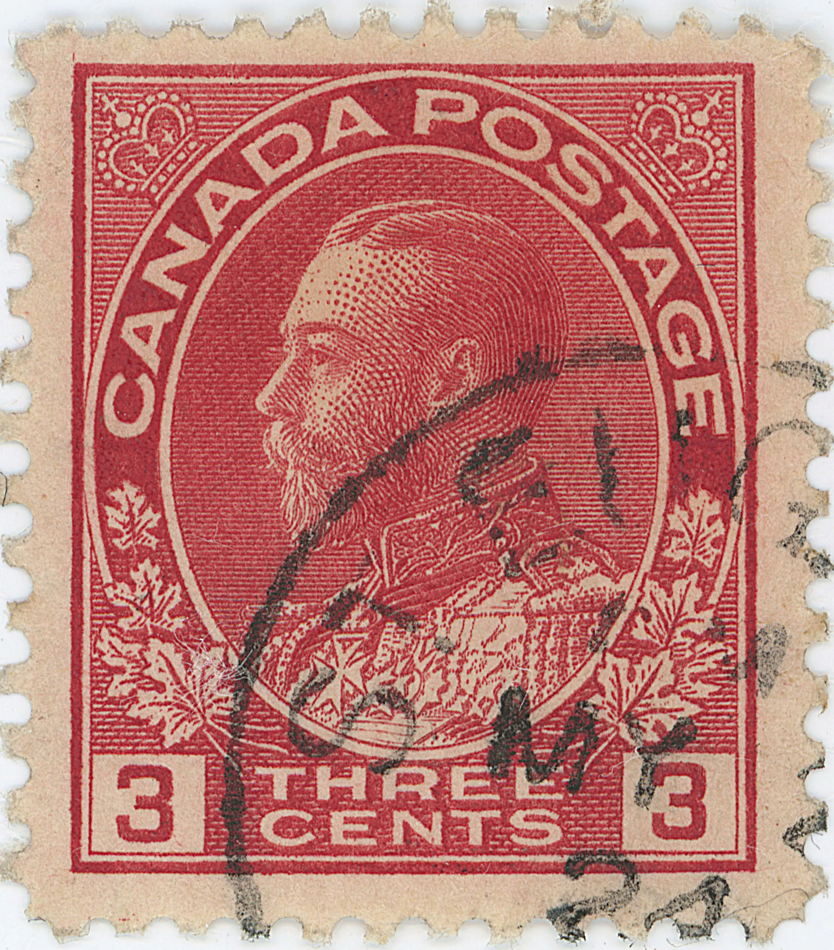 3¢C TLD 45L e.webp